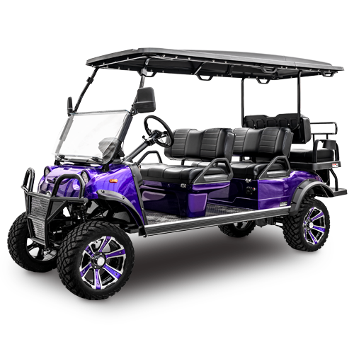 Forester-6-Plus-Purple